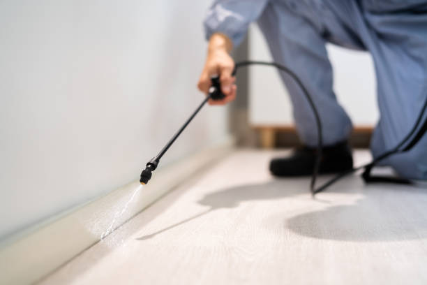 Licensed Mosquito Control service in Pembroke Pines, FL - Show Me Pest Control