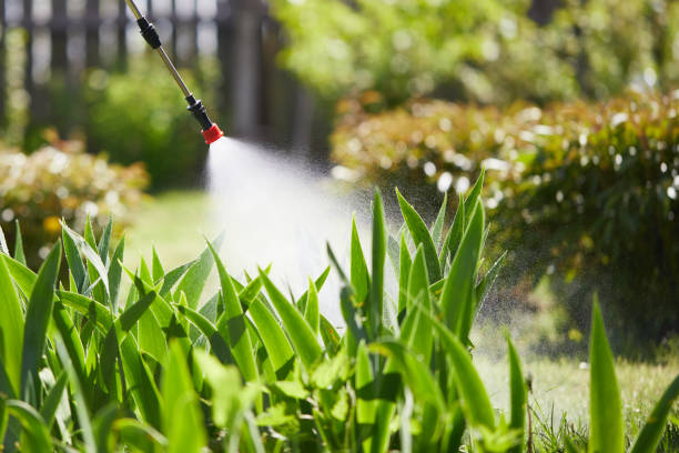 24/7 Emergency Mosquito Control experts in Pembroke Pines, FL