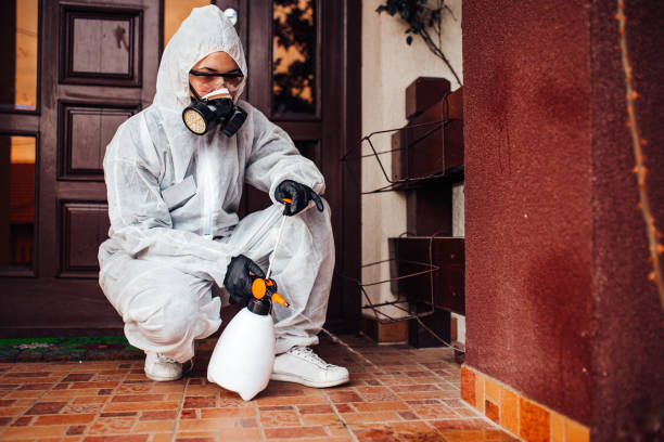 Reliable Mosquito Control contractor in Pembroke Pines, FL by Show Me Pest Control