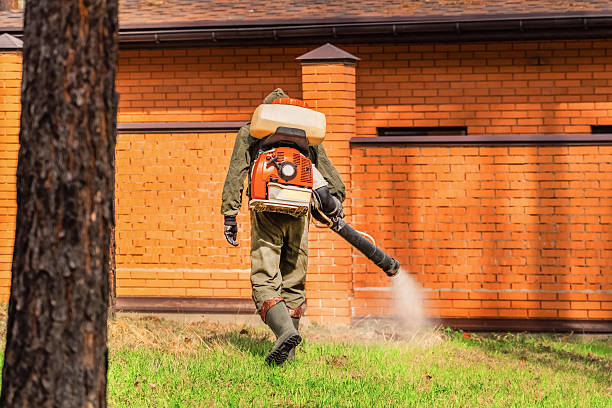 Top rated local Mosquito Control specialists in Pembroke Pines, FL